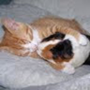 Meet your Posher, Derrie